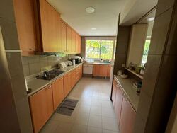Sommerville Park (D10), Terrace #532303381